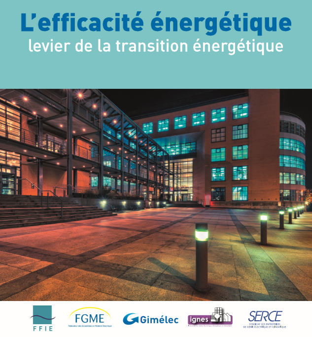 L'efficacité énergétique - Levier de la transition énergétique