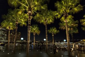 © ERCO GmbH, Palm Trees, Circular Quay, Sydney / Australie – Maîtrise d’ouvrage :Sydney Harbour Foreshore Authority, Sydney / Australie – Photographie :Jackie Chan, Sydney / Australie – Produits : Tesis