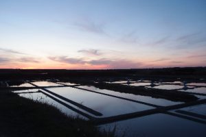 Lumières sur les marais salants. Batz-sur-mer. © Isabelle Arnaud