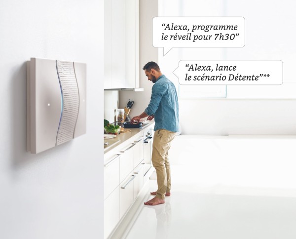 L’interrupteur à commande vocale Living Now de Legrand. ©Legrand