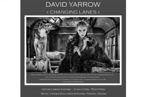 Exposition David Yarrow - Showroom Zumtobel Paris