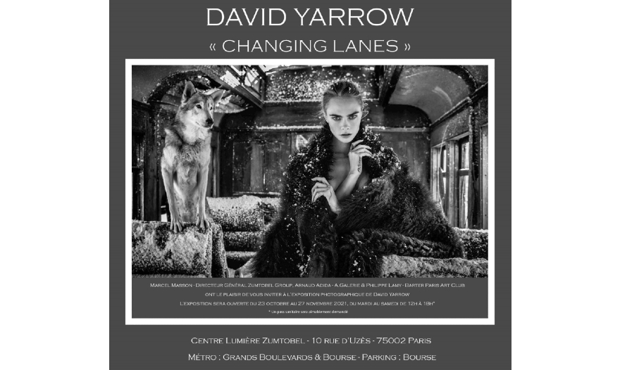 Exposition David Yarrow - Showroom Zumtobel Paris
