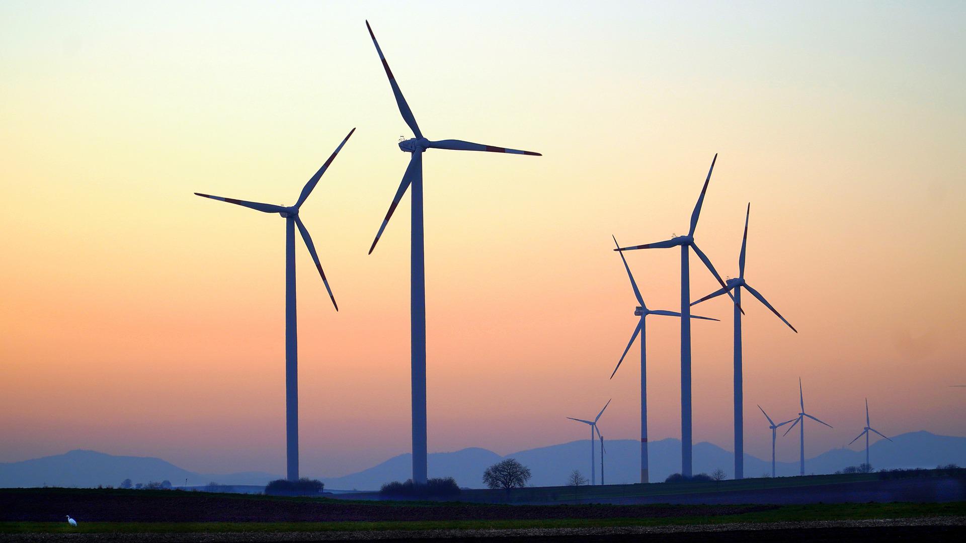 L’éolien représente 7,9 % de la production d’énergies renouvelables en France. © DR