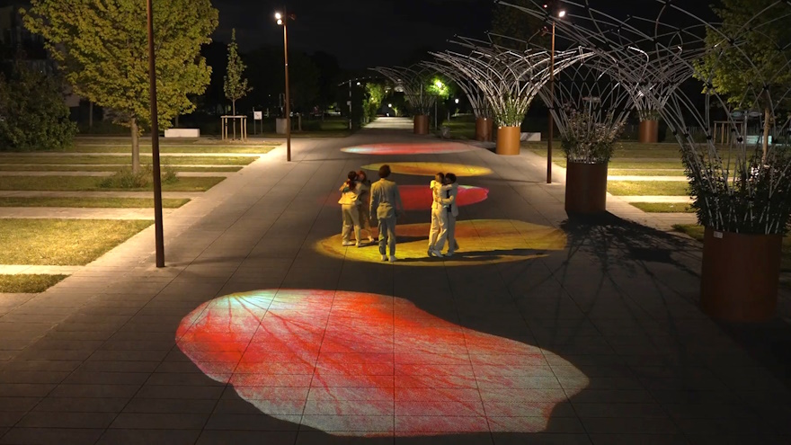 Pétales de rose et de lumière à Saint-Quentin-en-Yvelines