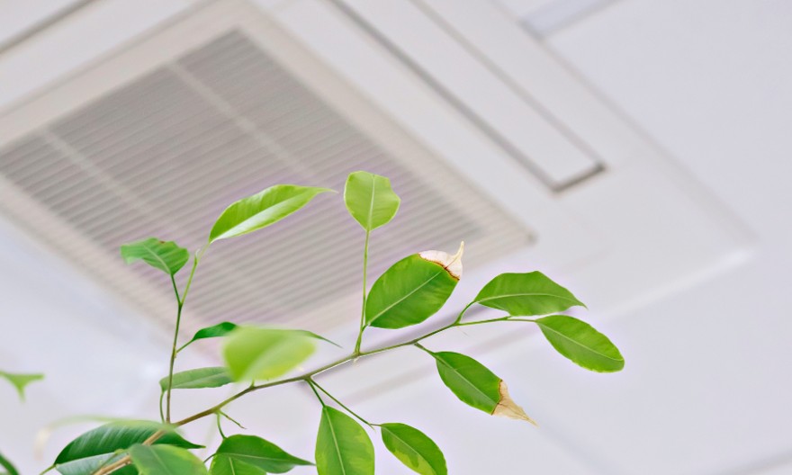 Changer d’air … tout en restant au bureau !